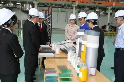 立足知識(shí)產(chǎn)權(quán)保護(hù)，協(xié)同企業(yè)創(chuàng)新發(fā)展——江州區(qū)法院舉辦新材料技術(shù)研發(fā)領(lǐng)域知識(shí)產(chǎn)權(quán)保護(hù)宣講座談會(huì)